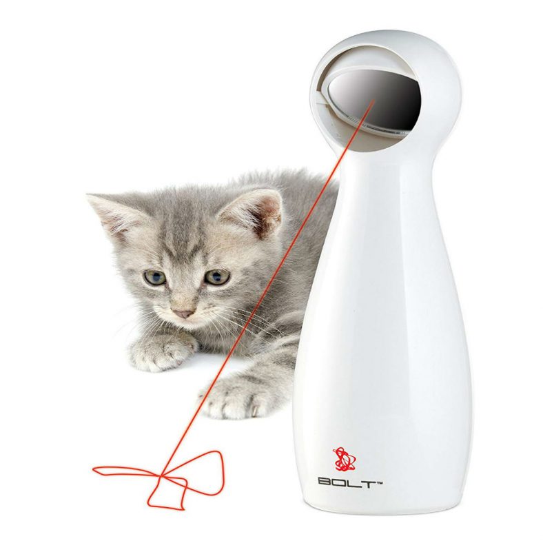 automatic laser pointer for dogs