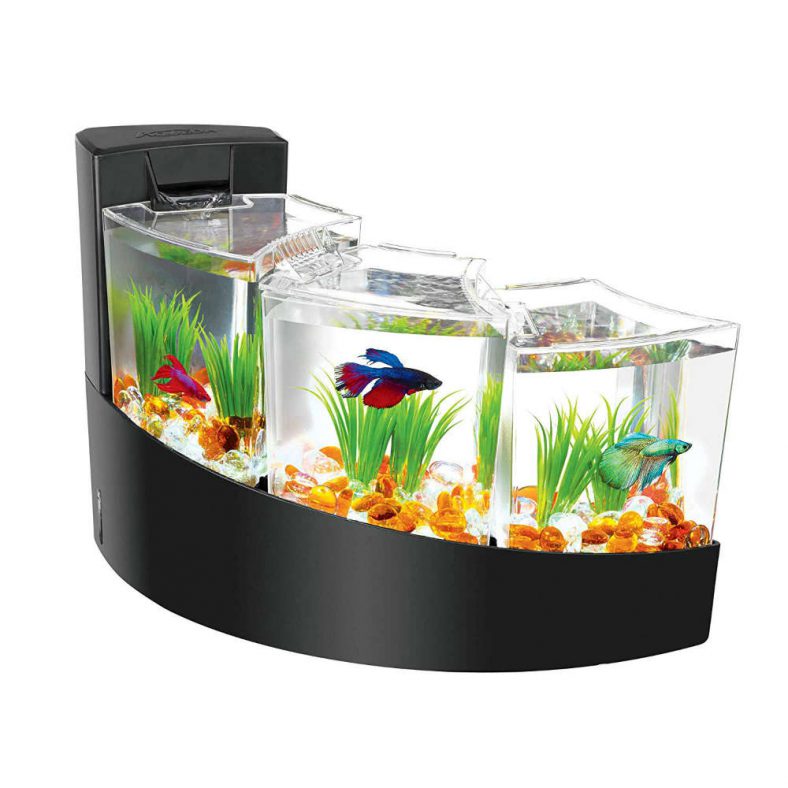 Compartmental Betta Waterfalls Kit for Living Rooms - Viral Gads