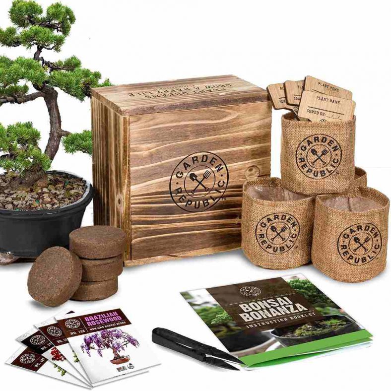 Bonsai Tree Starter Kit Best Gift For All Viral Gads